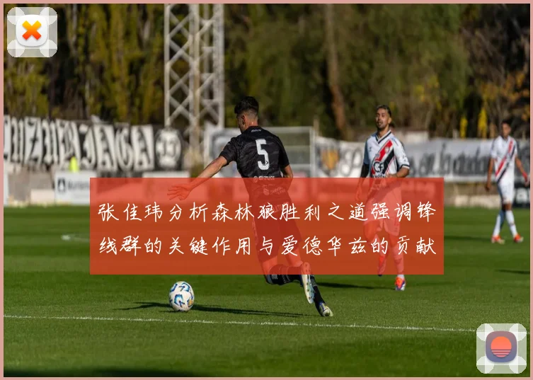 张佳玮分析森林狼胜利之道强调锋线群的关键作用与爱德华兹的贡献