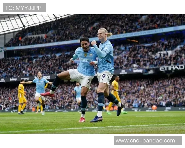 近五年英超最佳引援评选结果揭晓哈兰德力压群雄荣膺第一 近五年英超最佳引援评选结果揭晓哈兰德力压群雄荣膺第一